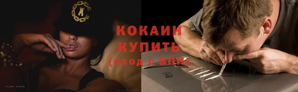 молекула духа Сосновка