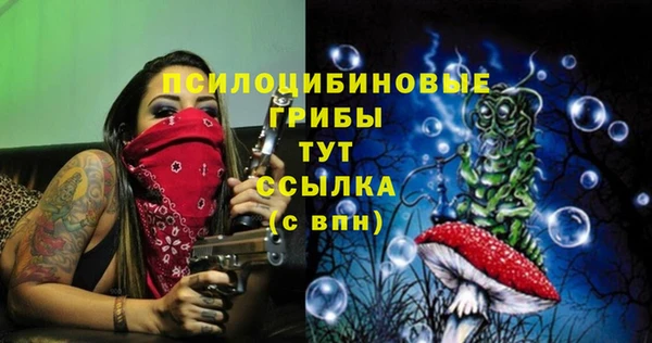 твердый Лабытнанги