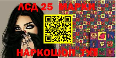 амф Можга