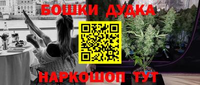 прущие крисы Моздок
