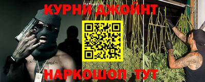 прущие крисы Моздок