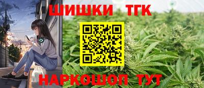 прущие крисы Моздок