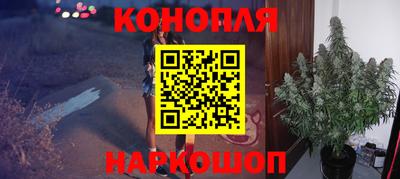 прущие крисы Моздок
