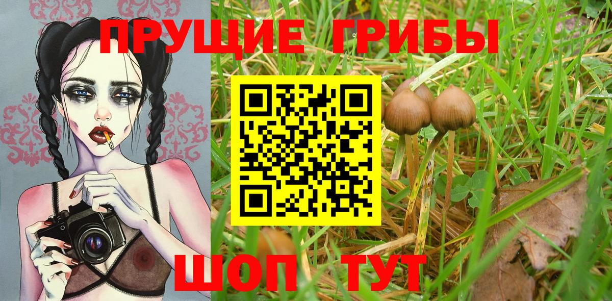 Галлюциногенные грибы мицелий Лиски